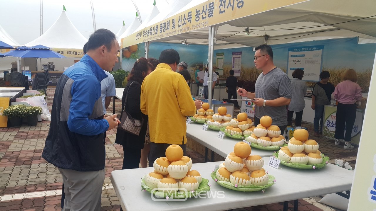 지난해 농산물 품평회 개최 모습 (사진제공 : 천안시청)