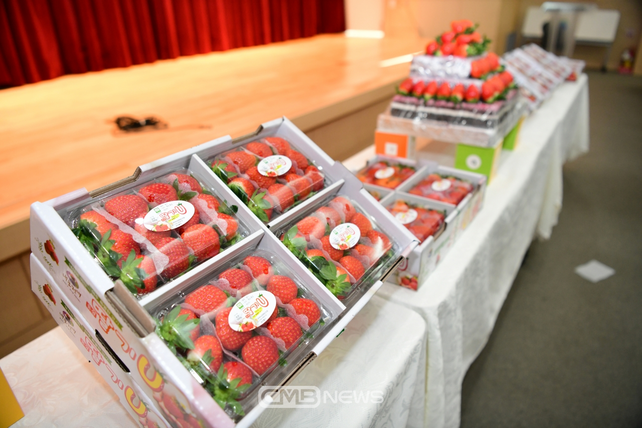 홍성군 딸기 통합브랜드 홍성딸기U 출하식 모습 (사진제공 : 홍성군청)