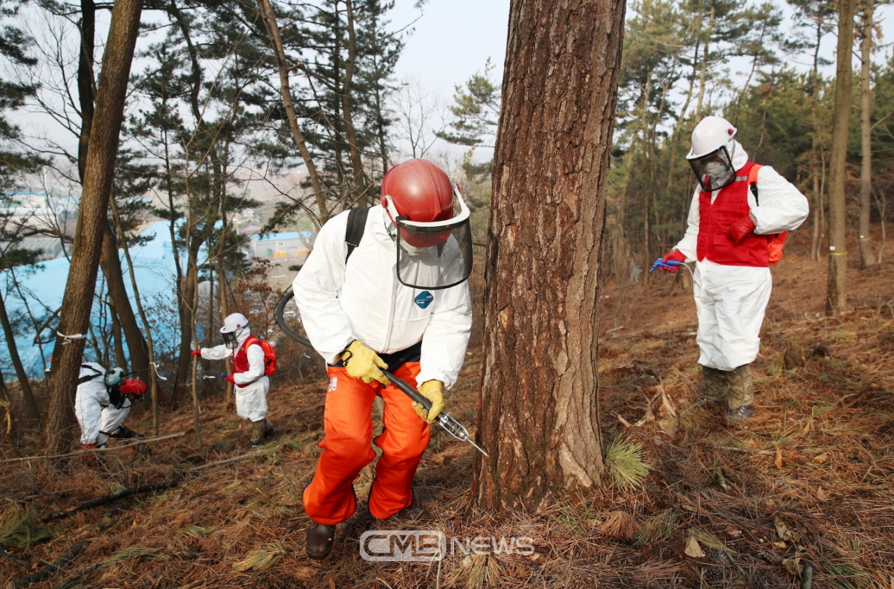 소나무재선충병 예방 나무주사 작업 모습 (사진제공 : 태안군청)