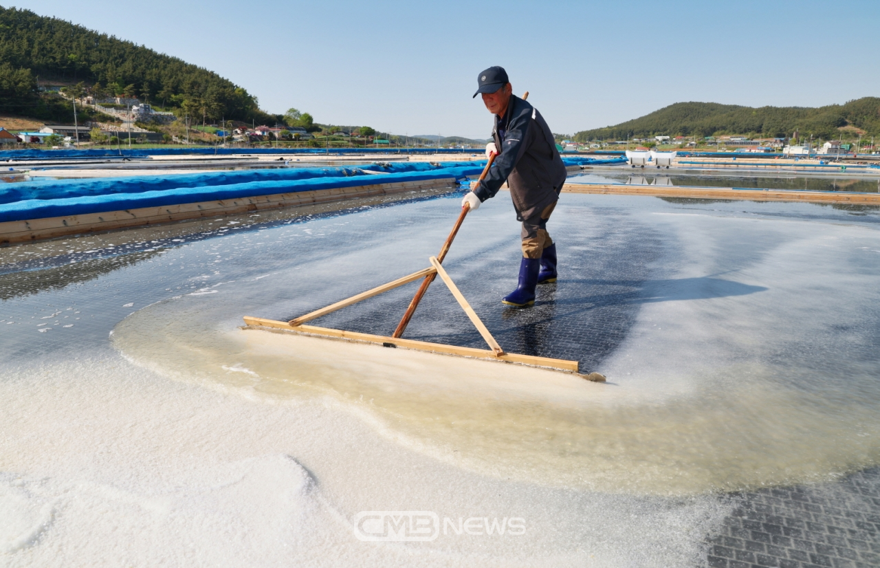 태안군 근흥면 마금리의 한 염전에서 송화소금을 생산하는 모습 / 사진 : 태안군청 제공